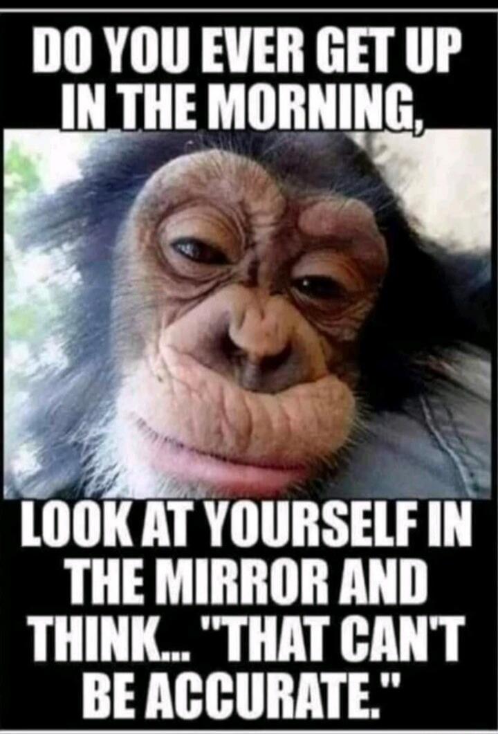 DO YOU EVER GET UP IN THE MORNING, LOOK AT YOURSELF IN THE MIRROR AND THINK... 