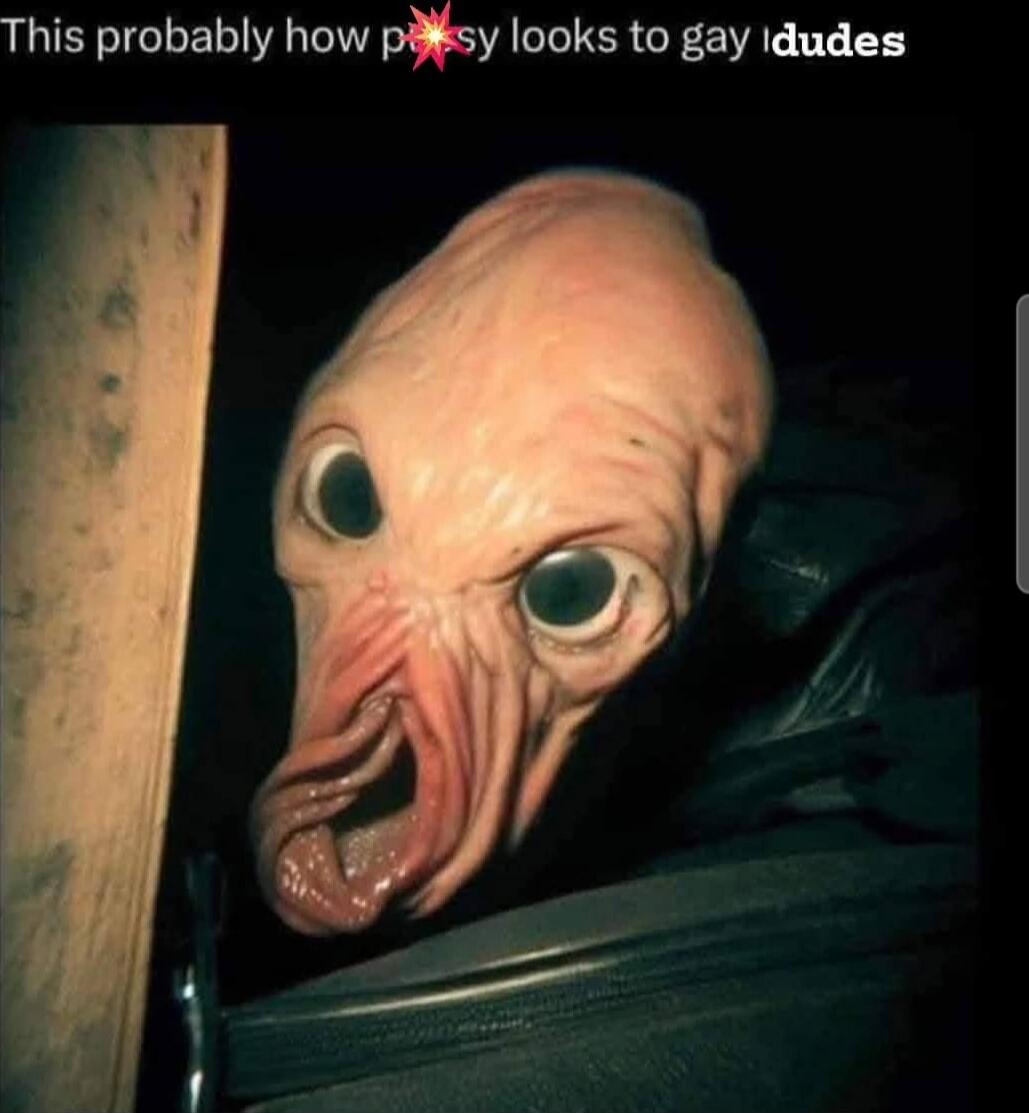This probably how pussy looks to gay dudes