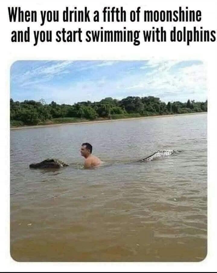 When you drink a fifth of moonshine and you start swimming with dolphins