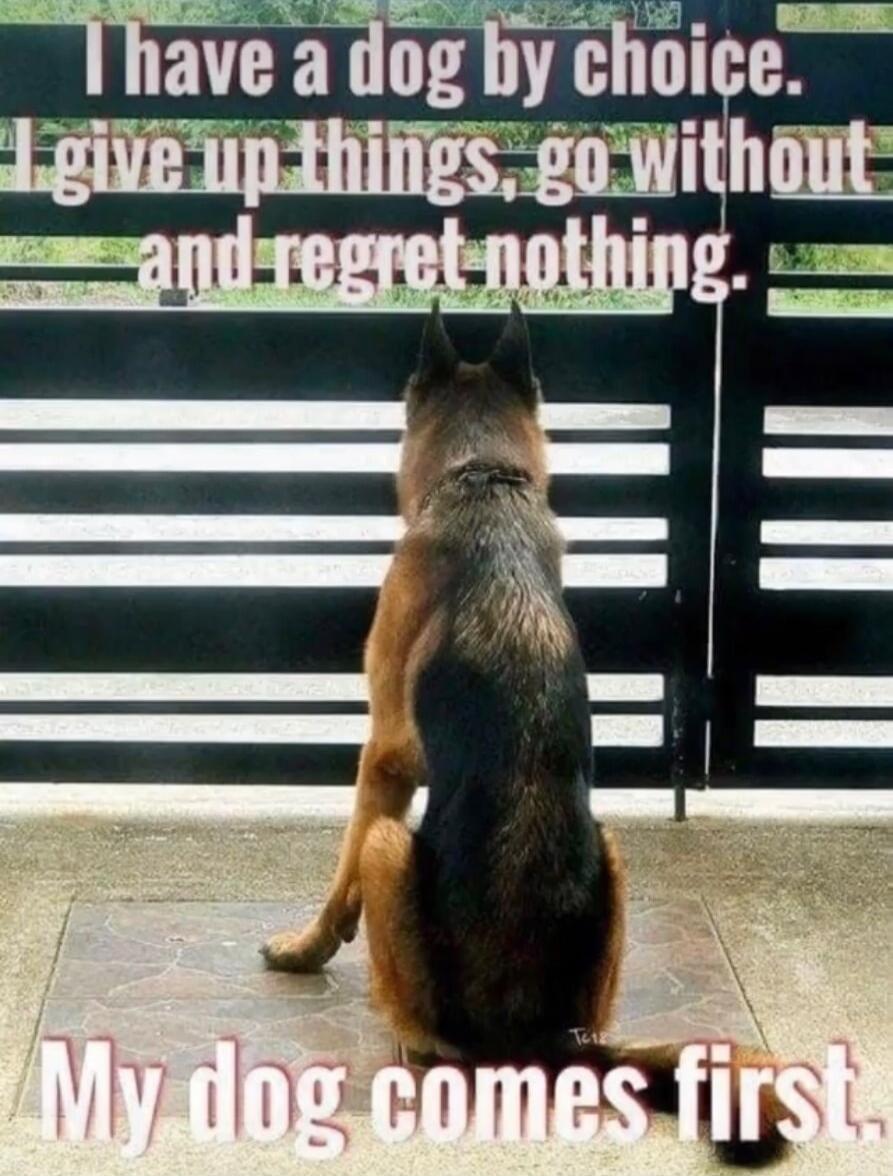 I have a dog by choice. give up things, go without and regret nothing. My dog comes first.