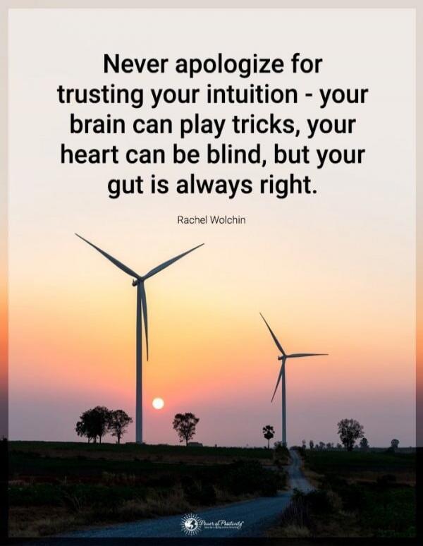 Never apologize for trusting your intuition - your brain can play tricks, your heart can be blind, but your gut is always right. 

Rachel Wolchin