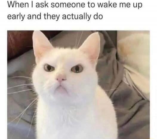 When I ask someone to wake me up early and they actually do