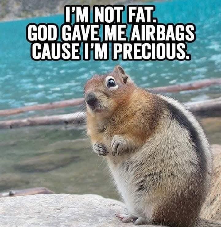 I'M NOT FAT. GOD GAVE ME AIRBAGS CAUSE I'M PRECIOUS.