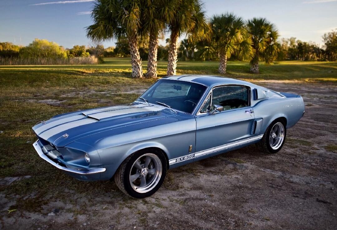 The image shows a classic blue Ford Mustang GT 500 parked outdoors with palm trees and a grassy field in the background. The car has white racing stripes on the hood and a 