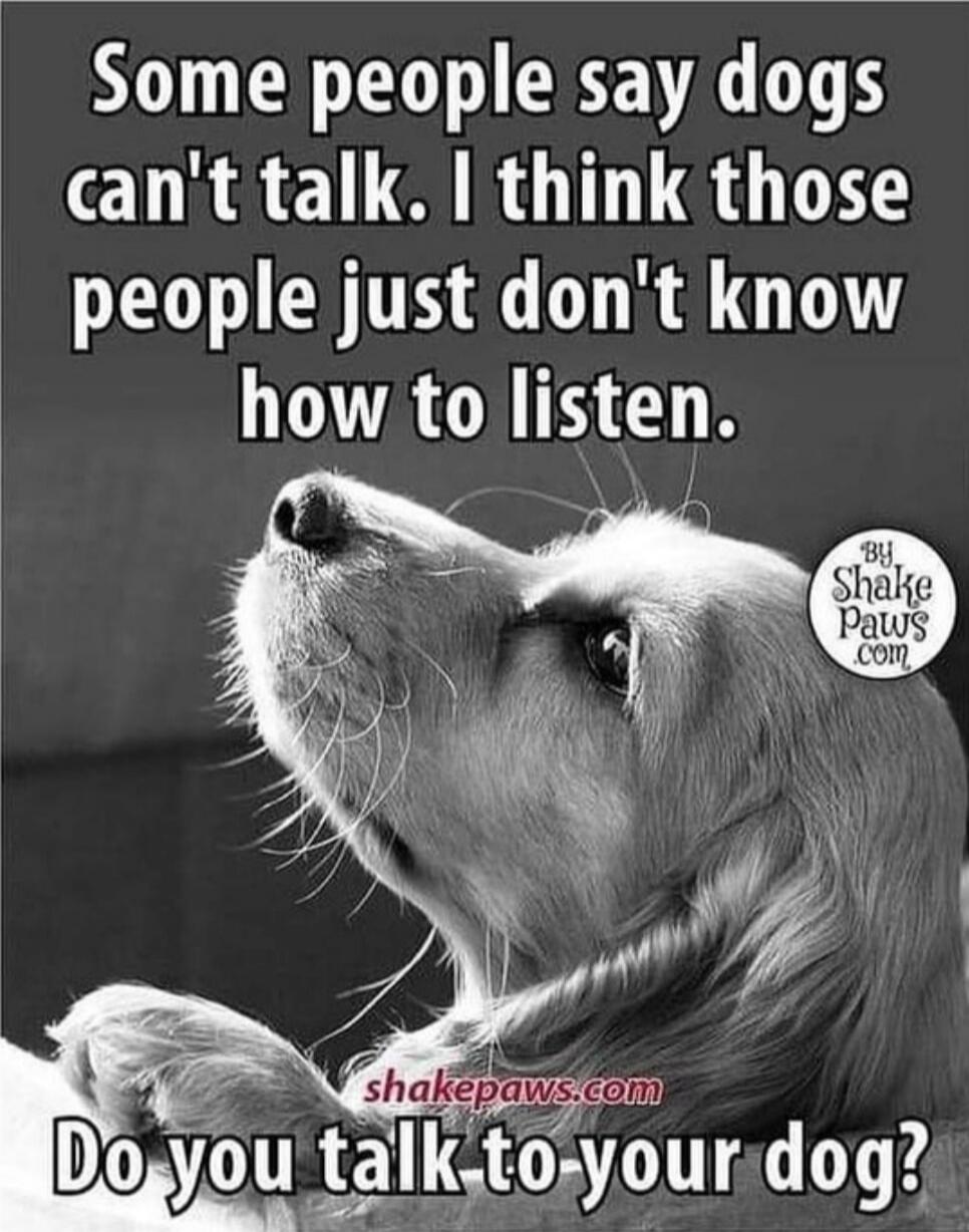 Some people say dogs can't talk. I think those people just don't know how to listen. Do you talk to your dog?