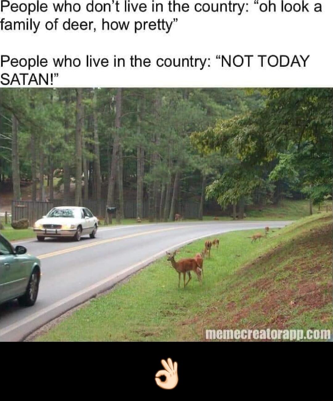 family of deer how pretty People who live in the country NOT TODAY SATAN memecreatorappcom