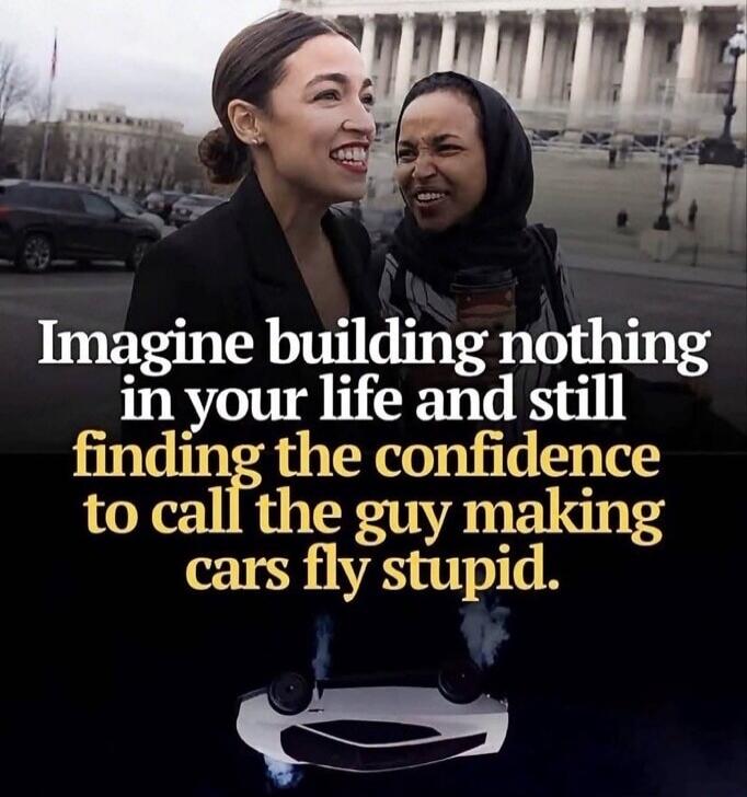 Imagine building nothing in your life and still finding the confidence to call the guy making cars fly stupid.