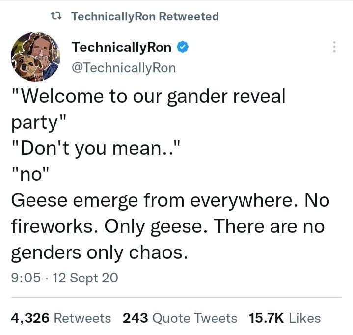 Q0 TechnicallyRon Retweeted TechnicallyRon TechnicallyRon Welcome to our gander reveal party Dont you mean ho Geese emerge from everywhere No fireworks Only geese There are no genders only chaos 905 12 Sept 20 4326 Retweets 243 Quote Tweets 157K Likes