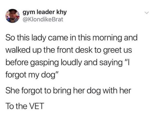 gym leader khy KlondikeBrat So this lady came in this morning and walked up the front desk to greet us before gasping loudly and saying I forgot my dog She forgot to bring her dog with her Tothe VET
