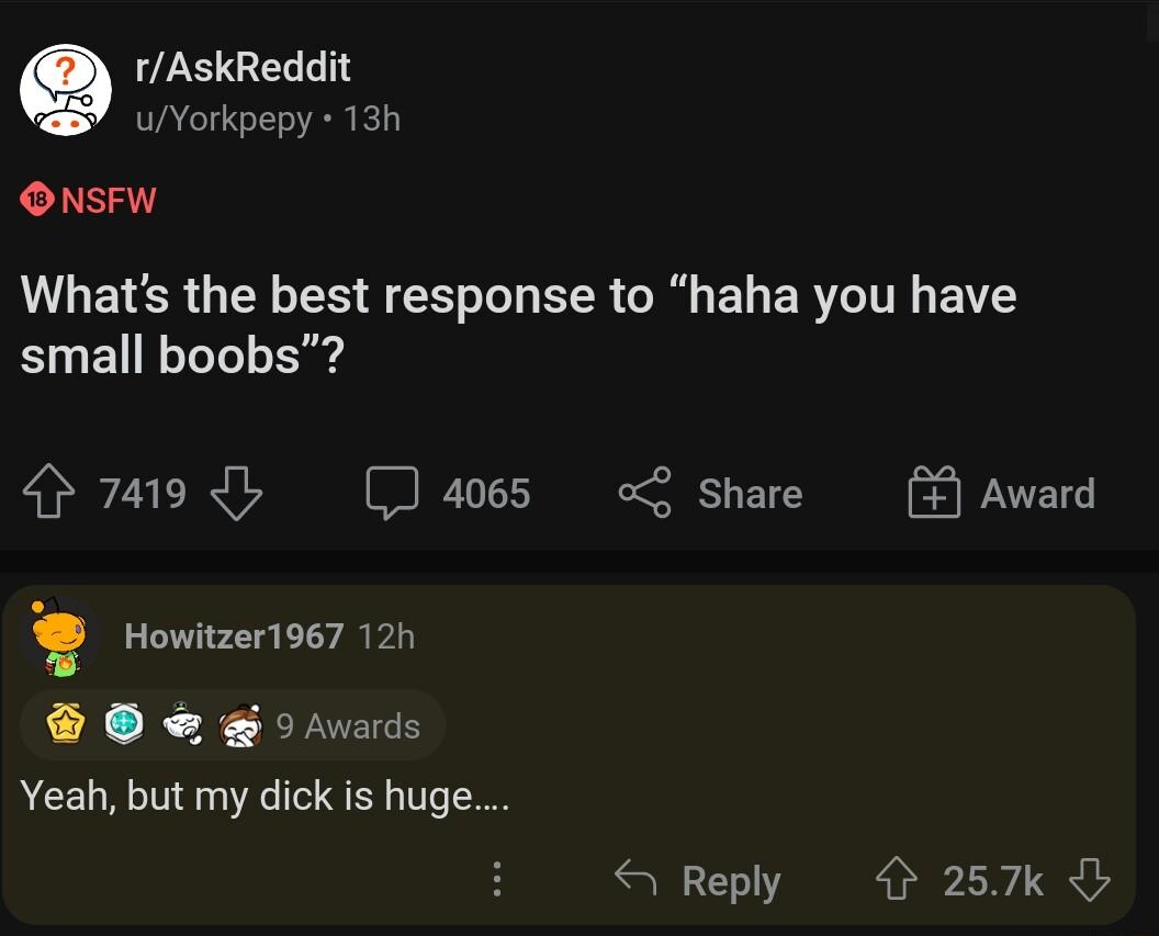 rAskReddit uYorkpepy 13h ONSsFW LGETCRG N R A EER R EL ER T TS small boobs 74198y 4065 Share Howitzer1967 12h Yeah but my dick is huge 5 Awards S Reply 257k