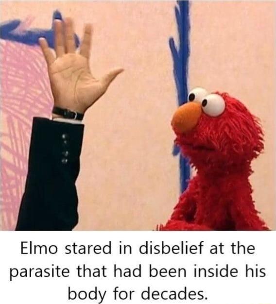Elmo stared in disbelief at the parasite that had been inside his body for decades