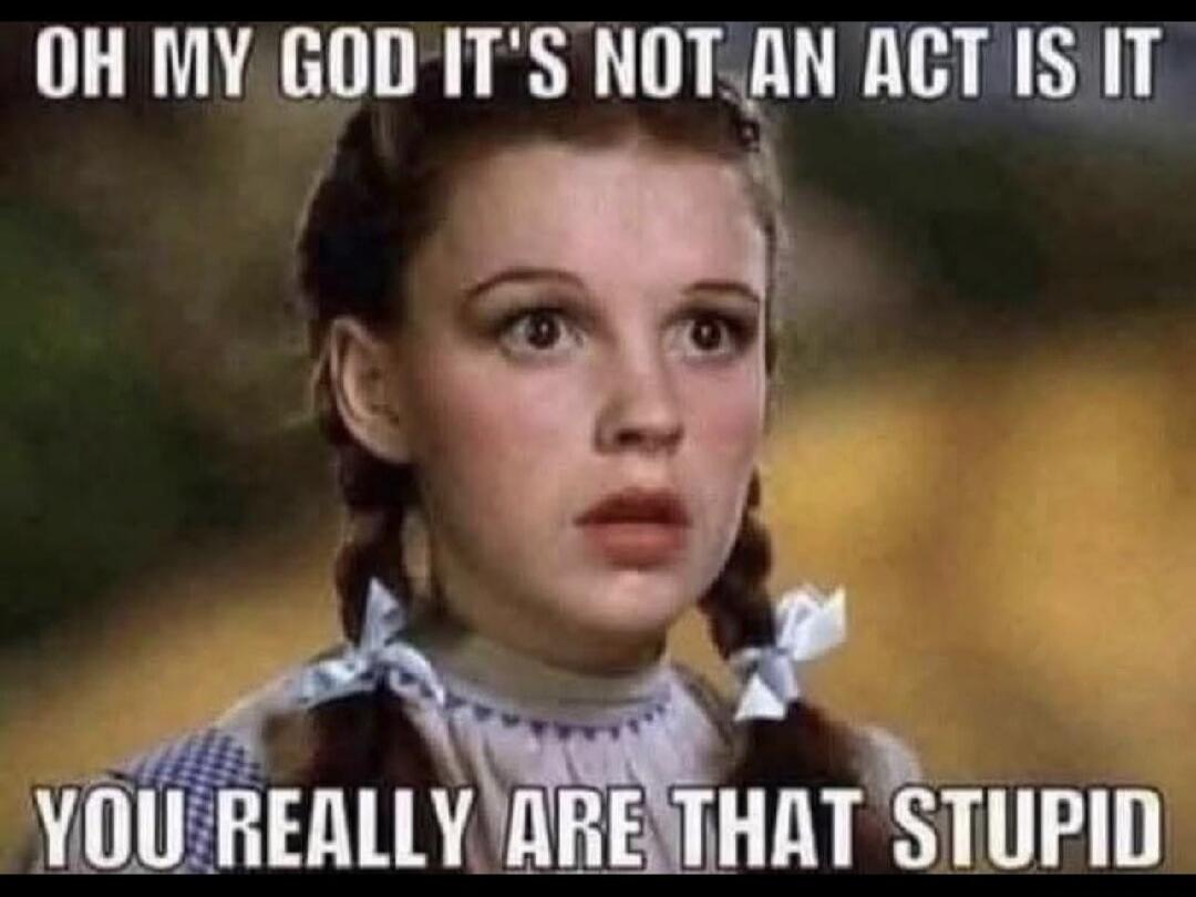 OH MY GOD IT'S NOT AN ACT IS IT YOU REALLY ARE THAT STUPID