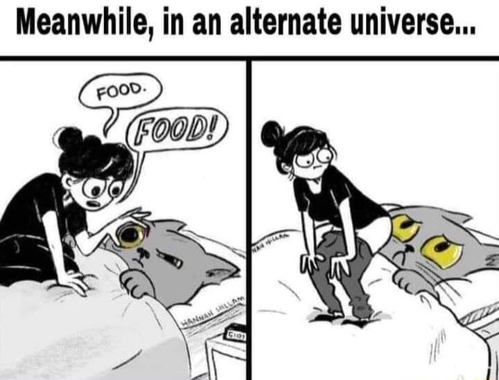 Meanwhile in an alternate universe