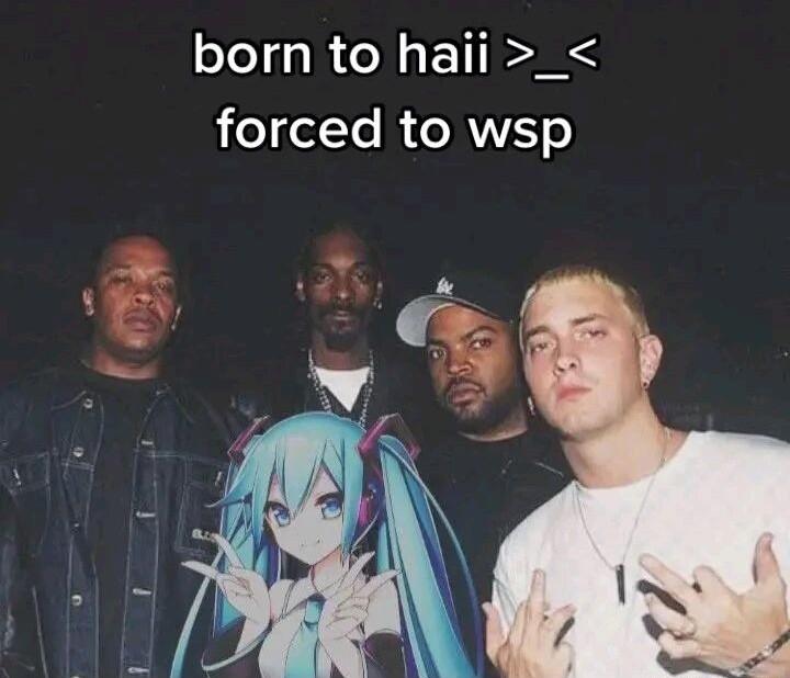 born to haii _ heTe li R