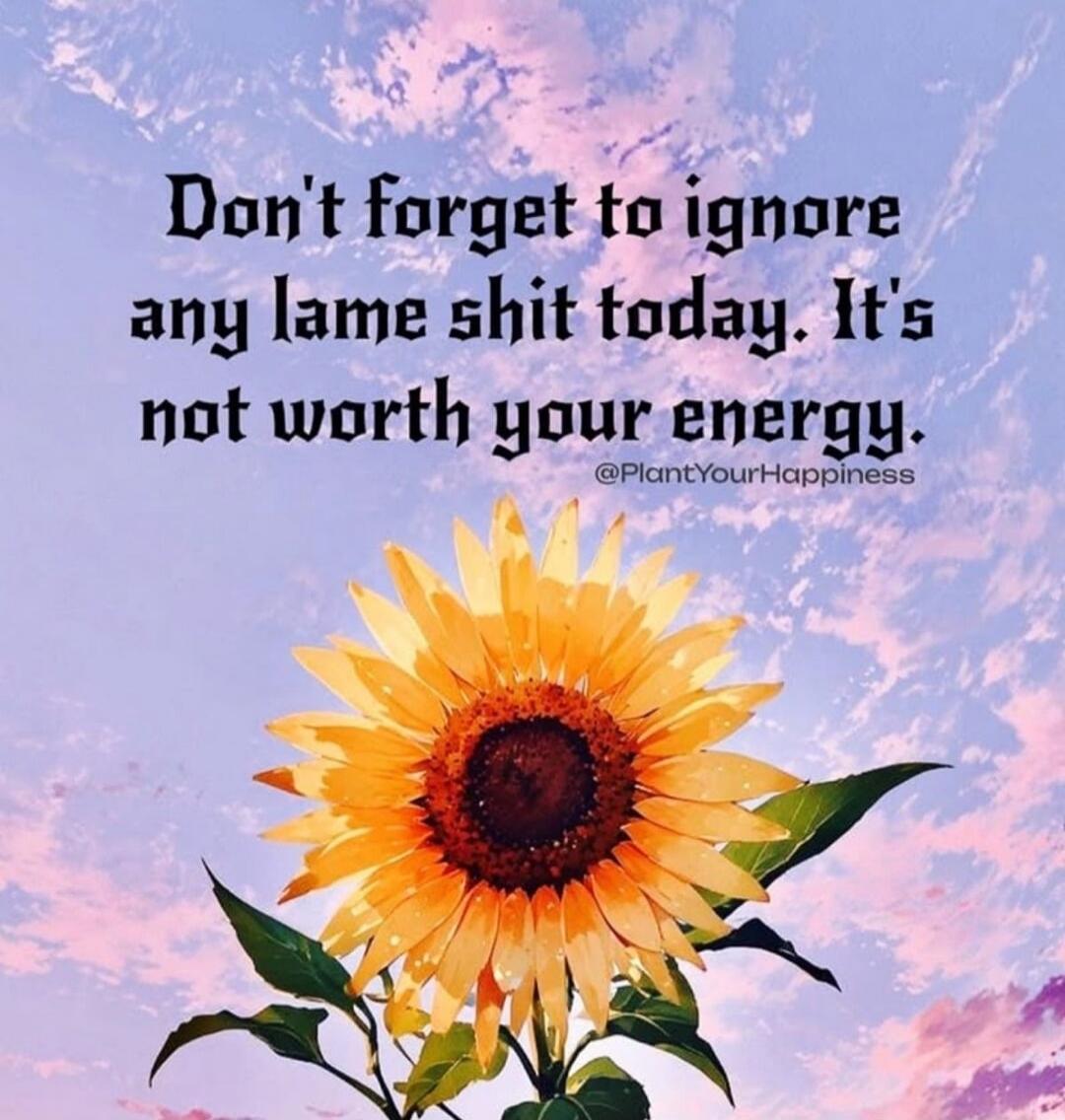 Don't forget to ignore any lame shit today. It's not worth your energy. @PlantYourHappiness
