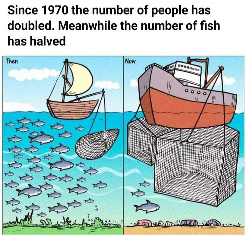 Since 1970 the number of people has doubled. Meanwhile the number of fish has halved. The image shows a comparison of fishing 'Then' and 'Now'. 'Then' depicts a small sailboat with a traditional net and abundant fish. 'Now' shows a large industrial trawler with massive nets and very few fish, along with seabed pollution.