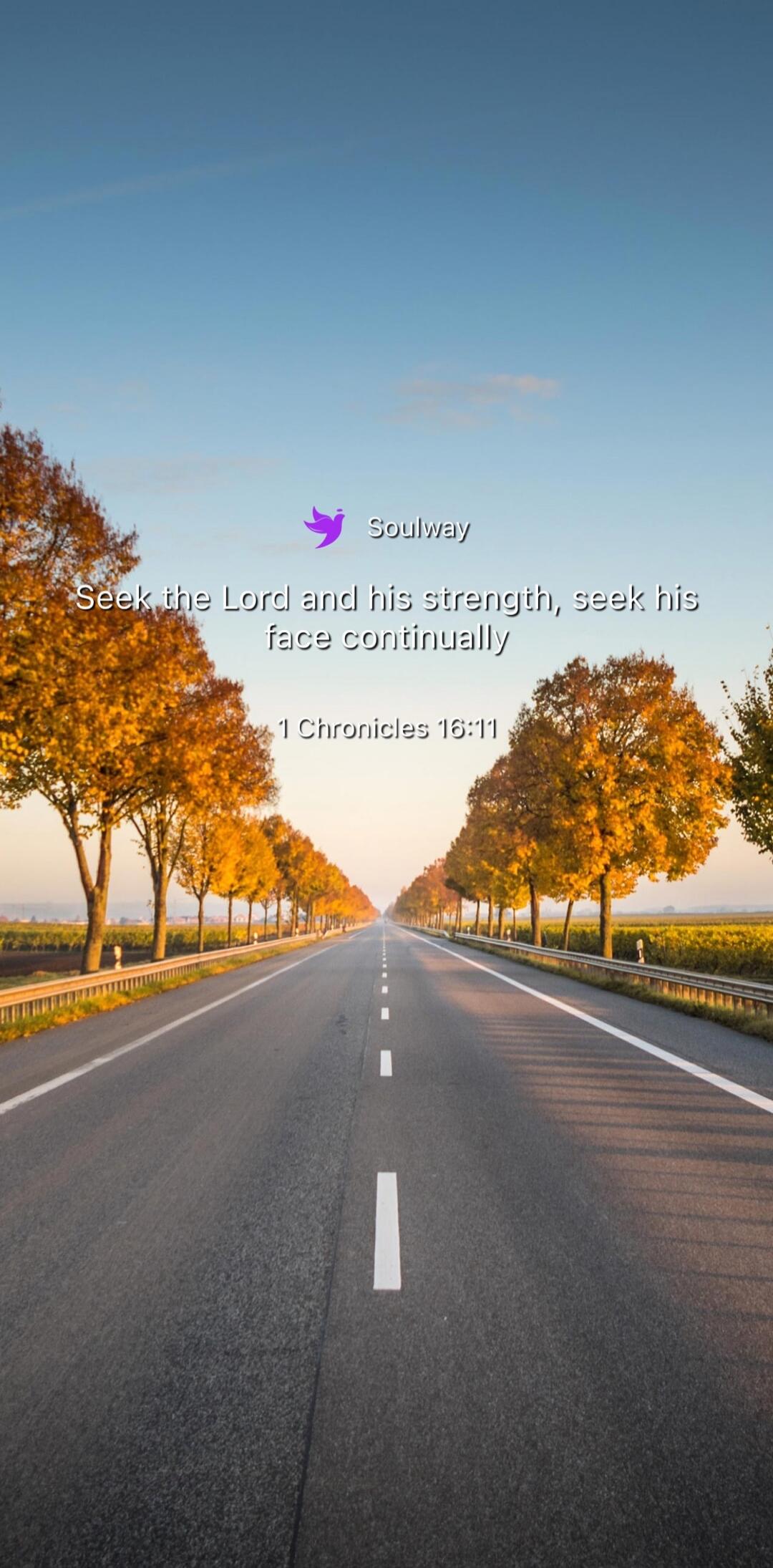 Soulway Seek the Lord and his strength, seek his face continually 1 Chronicles 16:11