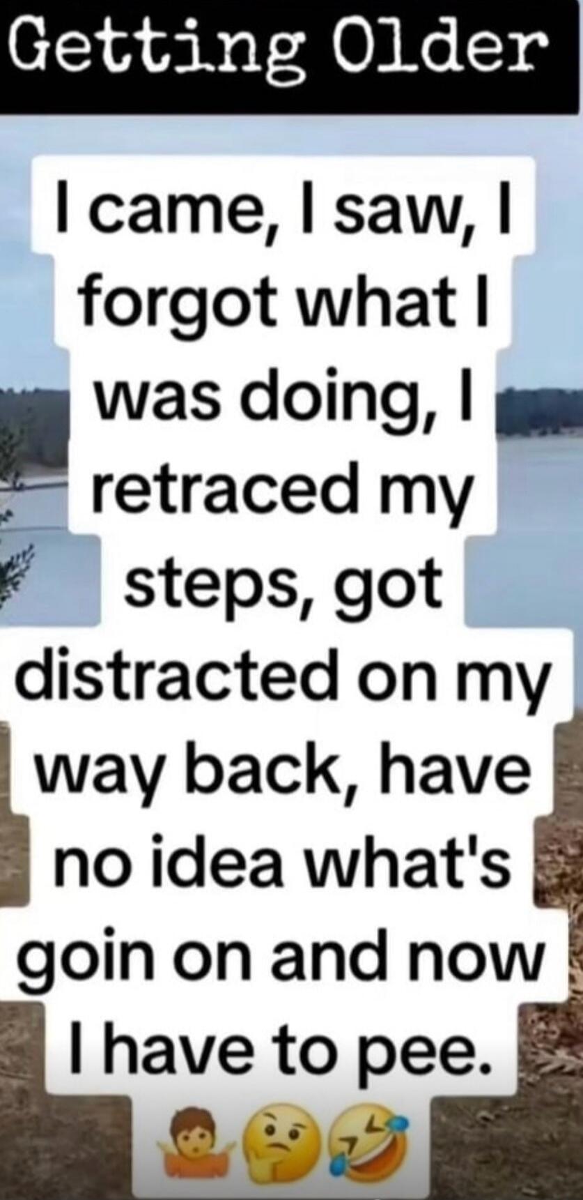 Getting Older. I came, I saw, I forgot what I was doing, I retraced my steps, got distracted on my way back, have no idea what's goin on and now I have to pee.