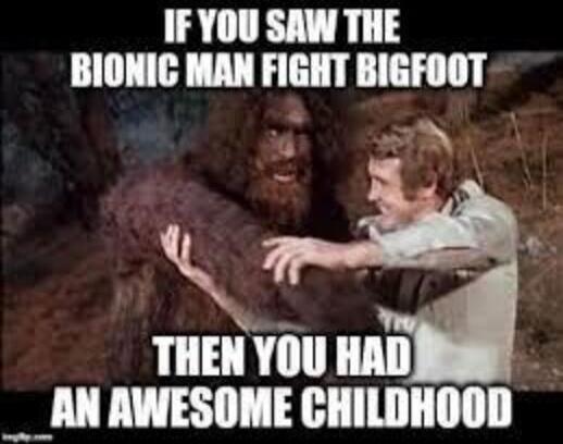 IF YOU SAW THE BIONIC MAN FIGHT BIGFOOT THEN YOU HAD AN AWESOME CHILDHOOD
