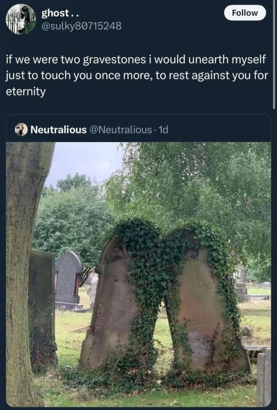 ghos oo i sulky80715248 if we were two gravestones i would unearth myself just to touch you once more to rest against you for eternity Neutralious Neutralious 1d