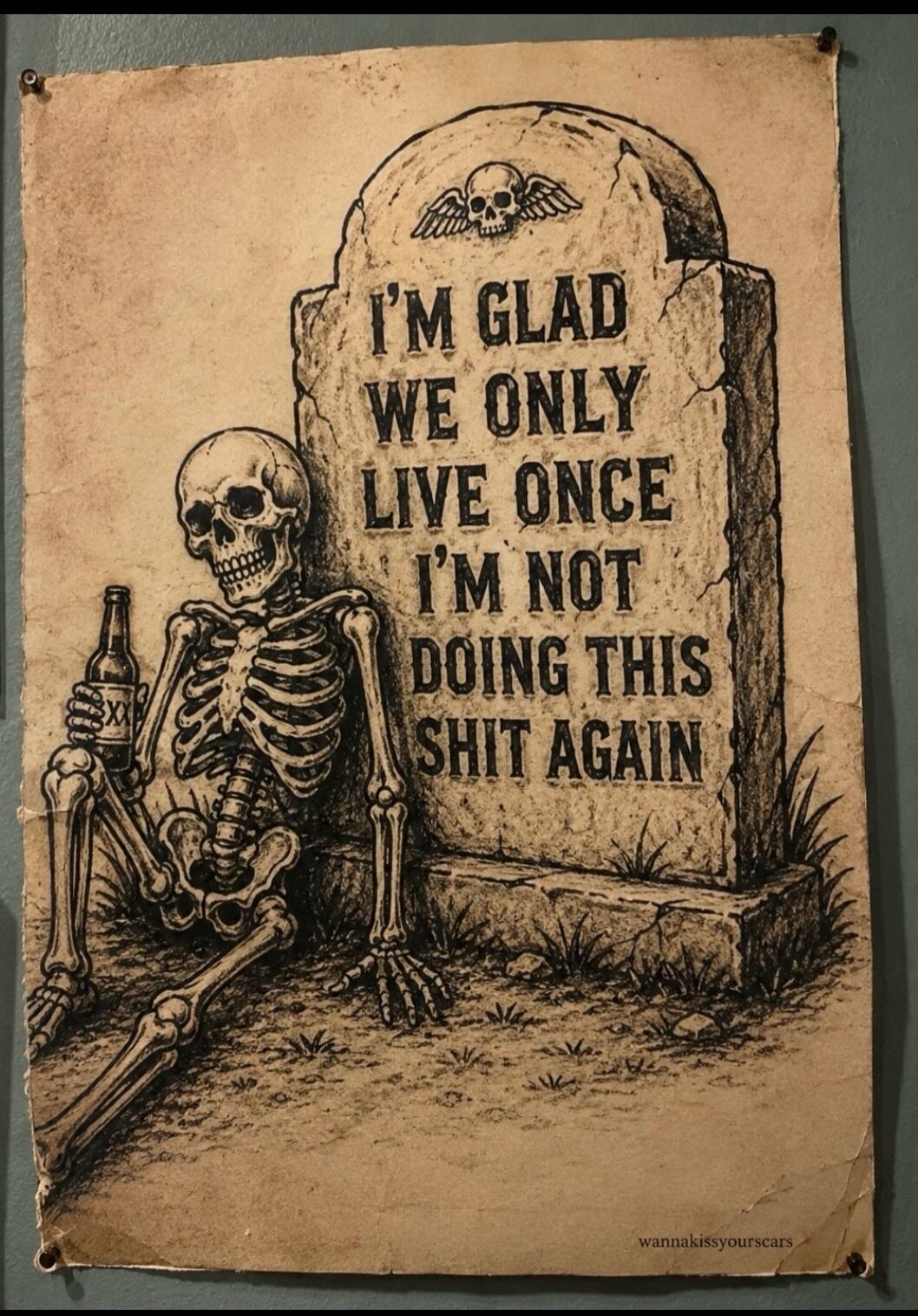 I'M GLAD WE ONLY LIVE ONCE I'M NOT DOING THIS SHIT AGAIN wannakissyoursacrs