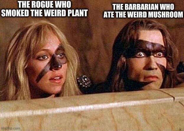 THE ROGUE WHO THE BARBARIAN WHO SMOKED THE WEIRD PLANT ATE THE WEIRD MUSHROOM