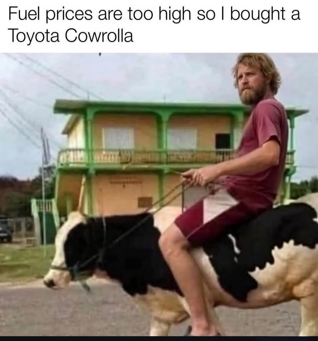 Fuel prices are too high so I bought a Toyota Cowrolla