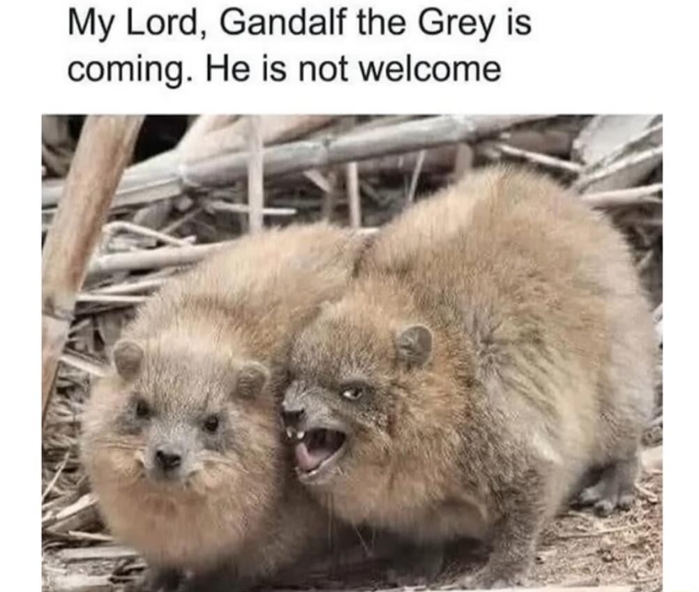 My Lord Gandalf the Grey is coming He is not welcome