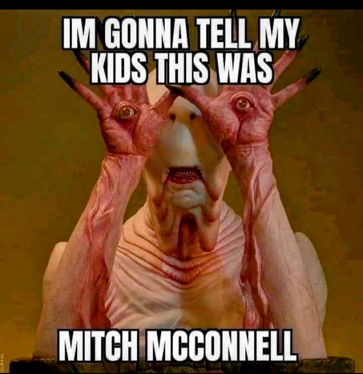 IM GONNA TELL MY KIISTHIWHS a2 Ve MITCHMCCONNELL