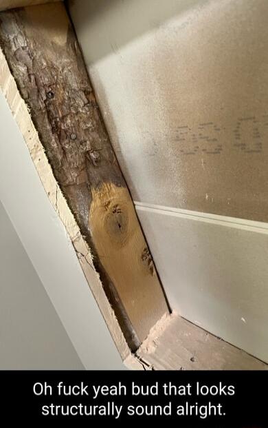 Oh fuck yeah bud that looks structurally sound alright