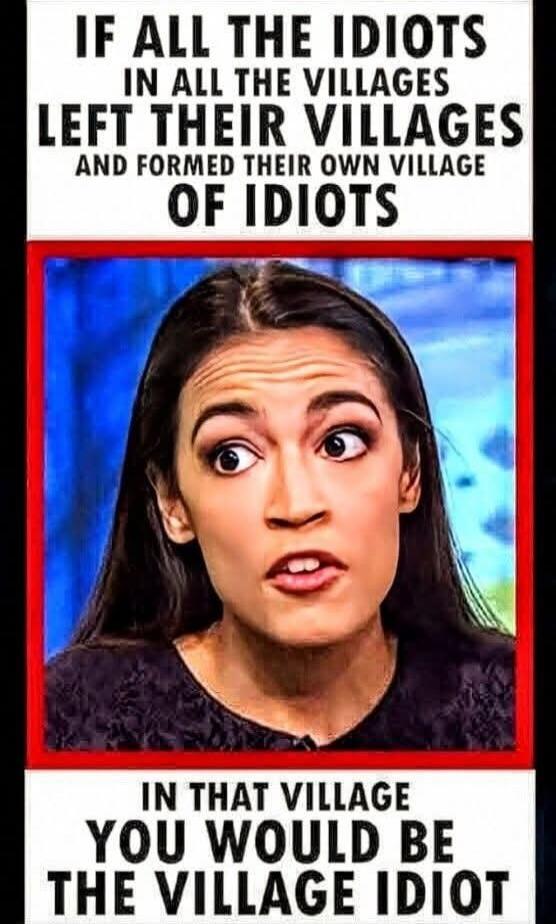 IF ALL THE IDIOTS IN ALL THE VILLAGES LEFT THEIR VILLAGES AND FORMED THEIR OWN VILLAGE OF IDIOTS IN THAT VILLAGE YOU WOULD BE THE VILLAGE IDIOT
