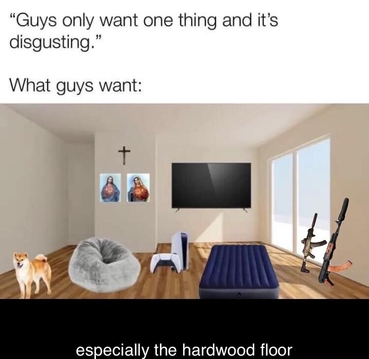 Guys only want one thing and its disgusting What guys want especially the hardwood floor