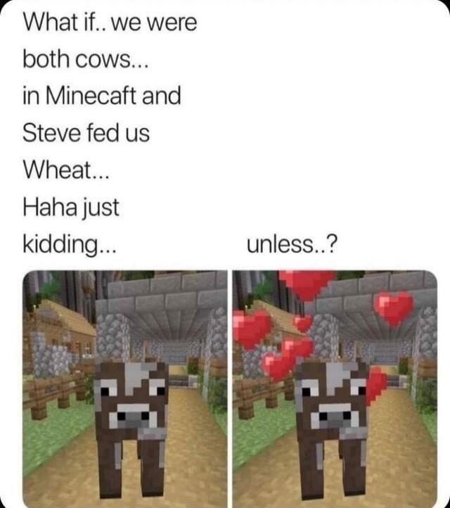 g What if we were both cows in Minecaft and Steve fed us Wheat Haha just kidding unless
