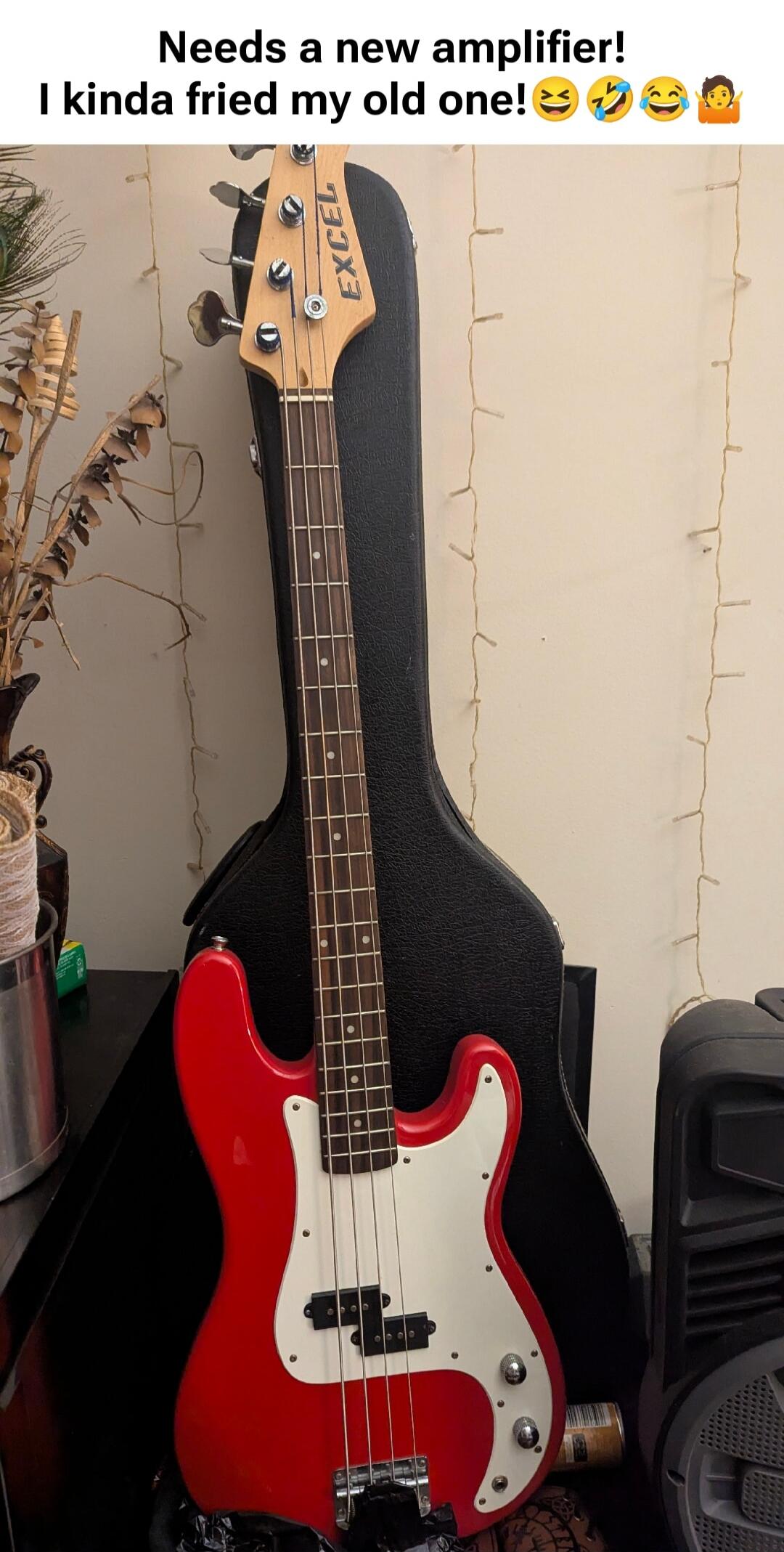 Needs a new amplifier! I kinda fried my old one! 😂🤣😂 EXCEL