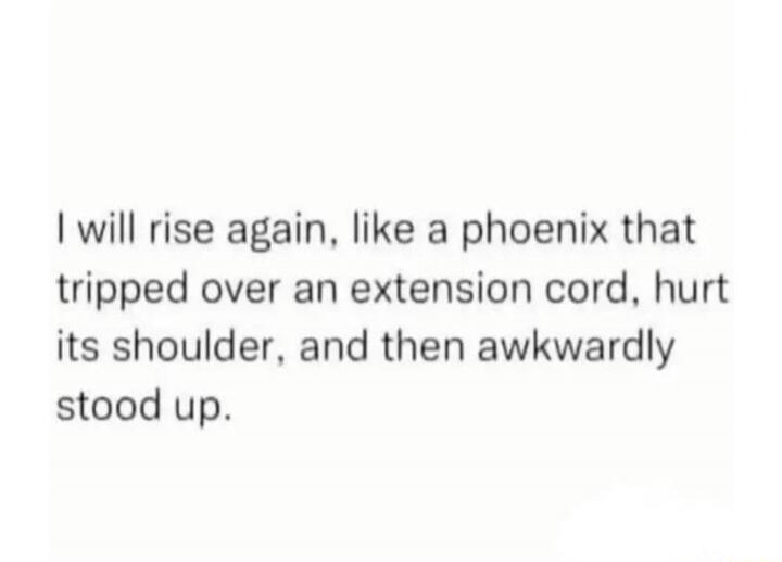 I will rise again, like a phoenix that tripped over an extension cord, hurt its shoulder, and then awkwardly stood up.