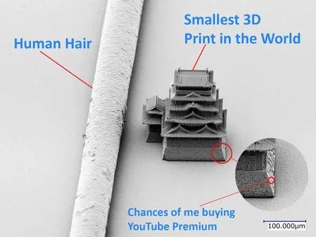 Smallest 3D Human Hair Print in the World Chances of me buying YouTube Premium e