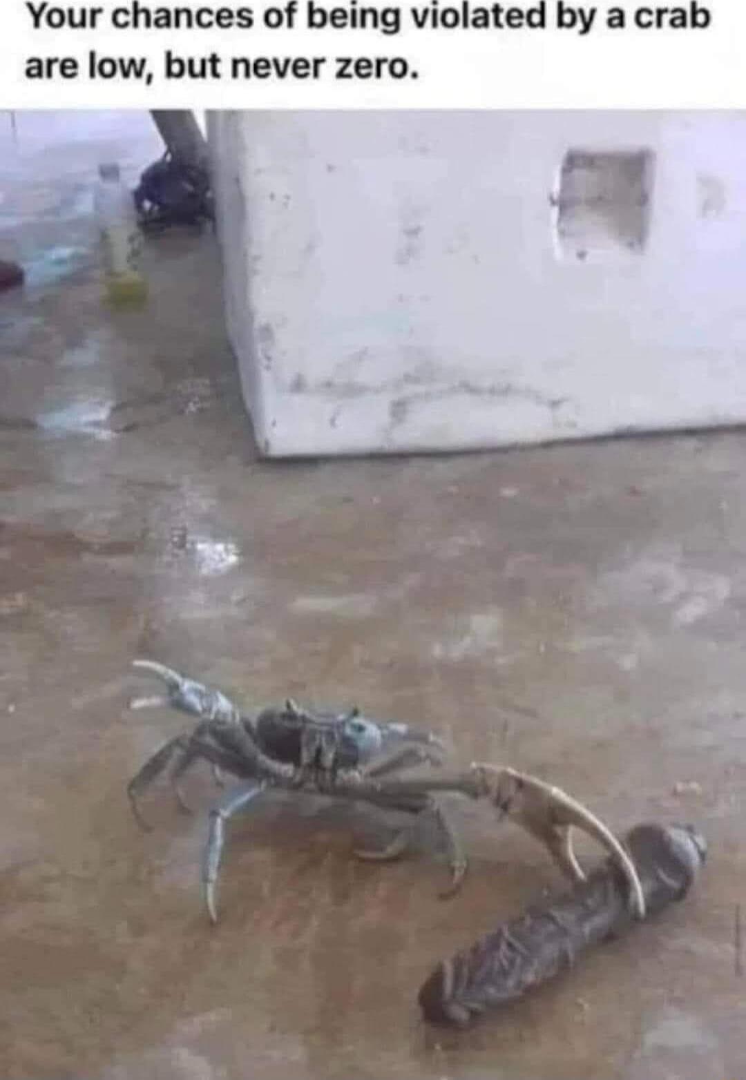 Your chances of being violated b are low but never zero e I T s