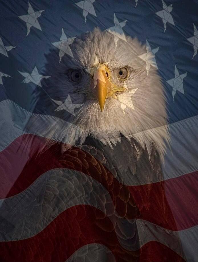 Session ID: 1106710.