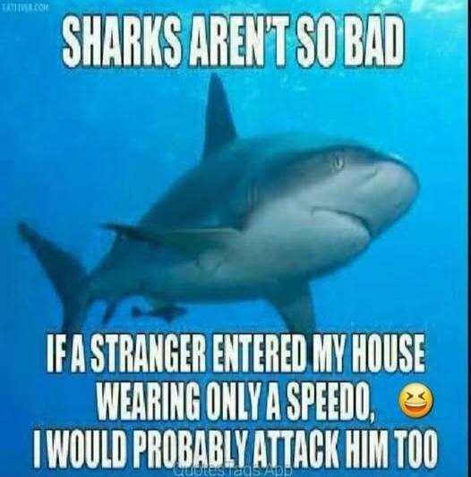 SHARKS AREN'T SO BAD IF A STRANGER ENTERED MY HOUSE WEARING ONLY A SPEEDO, I WOULD PROBABLY ATTACK HIM TOO