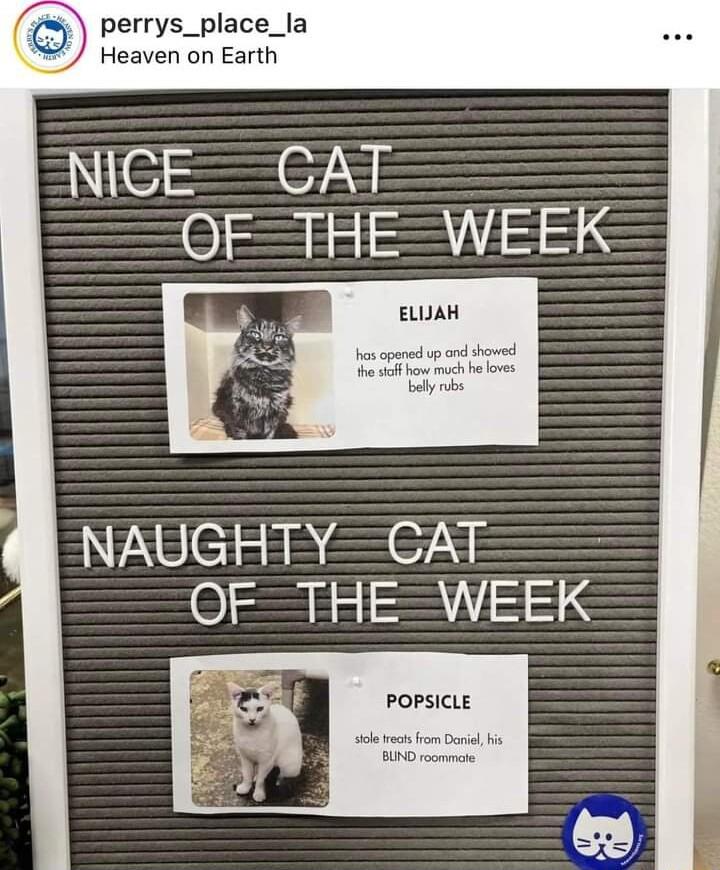 perrys_place_la Heaven on Earth NEC75E EIII8 ELUAH NEeiEREeTsE SEC