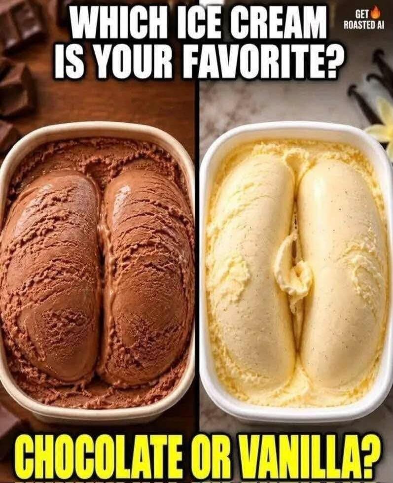 WHICH ICE CREAM IS YOUR FAVORITE? GET ROASTED AI CHOCOLATE OR VANILLA?