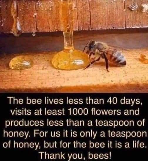 R CECER VRN R G ET R T R EVEN visits at least 1000 flowers and produces less than a teaspoon of honey For us it is only a teaspoon of honey but for the bee it is a life Thank you bees