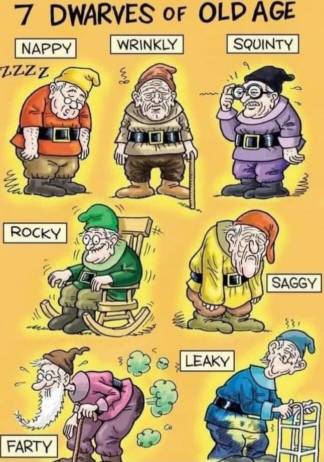 7 DWARVES OF OLD AGE
NAPPY	WRINKLY	SQUINTY
ROCKY	SAGGY	FARTY	LEAKY