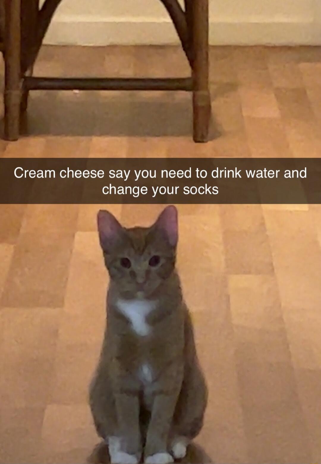 Cream cheese say you need to drink water and change your socks