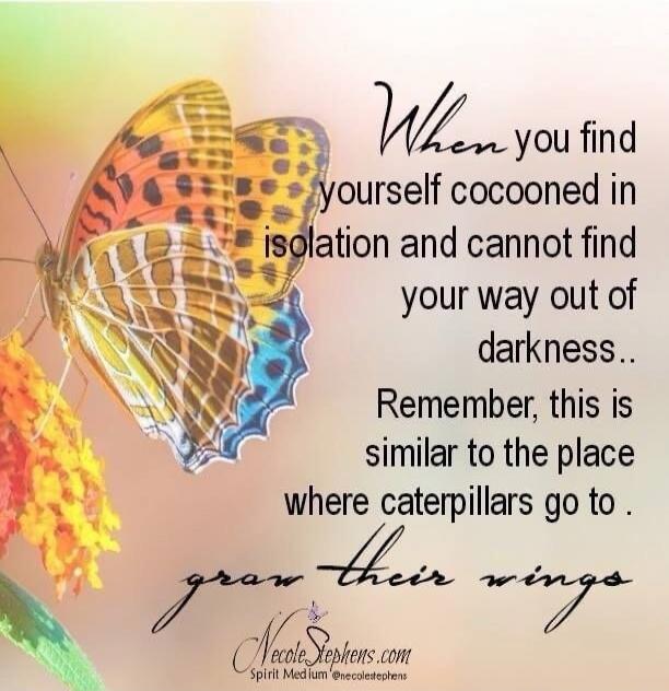 When you find yourself cocooned in isolation and cannot find your way out of darkness.. Remember, this is similar to the place where caterpillars go to grow their wings. NecoleStephens.com Spirit Medium @necolestephens