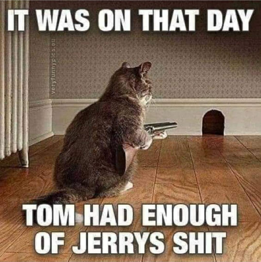 IT WAS ON THAT DAY h TOMHAD ENOUGH _ OF JERRYS SHIT Sl o idagua