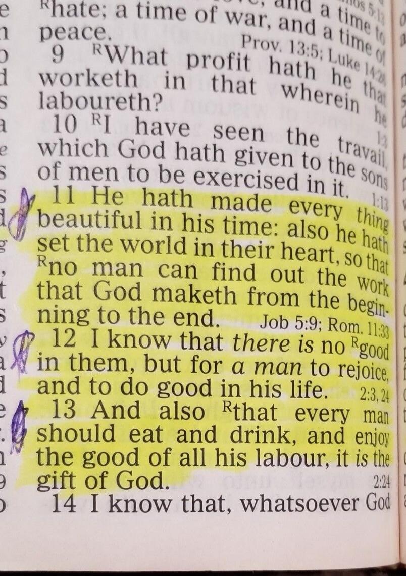 11 He hath made every thing beautiful in his time: also he hath set the world in their heart, so that no man can find out the work that God maketh from the beginning to the end. 12 I know that there is no good in them, but for a man to rejoice, and to do good in his life. 13 And also that every man should eat and drink, and enjoy the good of all hi