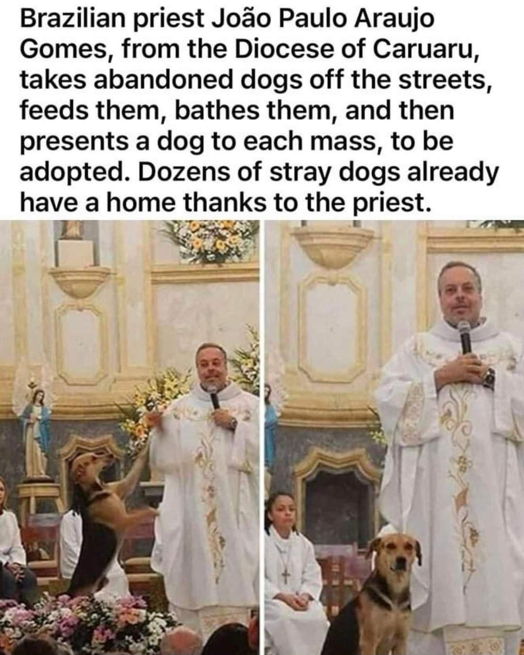 Brazilian priest Joao Paulo Araujo Gomes from the Diocese of Caruaru takes abandoned dogs off the streets feeds them bathes them and then presents a dog to each mass to be adopted Dozens of stray dogs already have a home thanks to the prlest