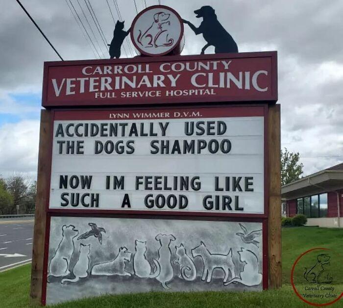 o 1 CARROIL COUNTY VETERINARY CLINIC LYNN WIMMER DVM ACCIDENTALLY USED THE DOGS SHAMPOO fl NOW IM FEELING LIKE il_SUCH A GOOD GIRL