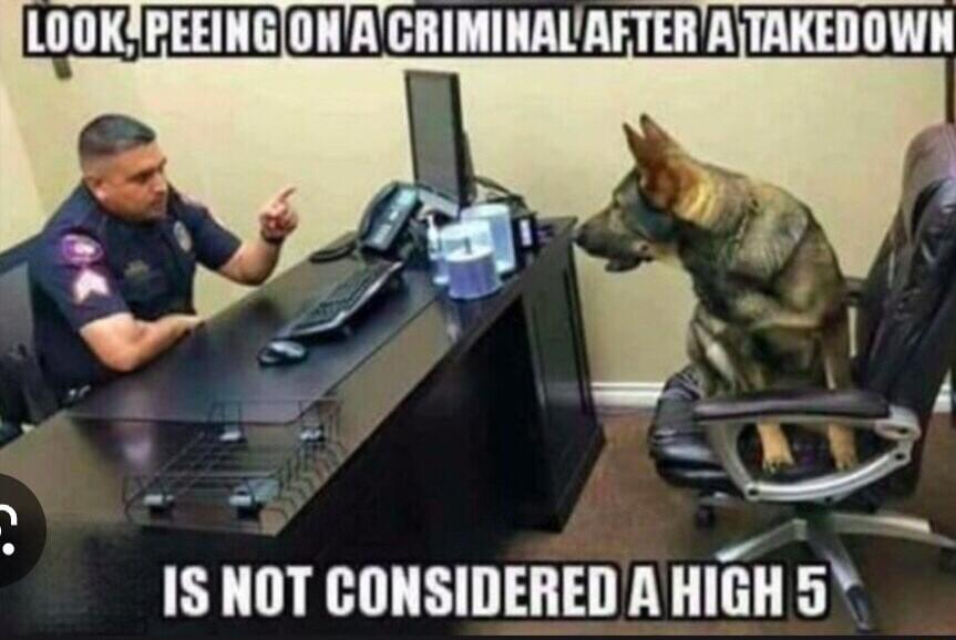 LOOKPEEINGONACRIMINAL AFTERATAKEDOWN IS NOT CONSIDERED A HIGH 5